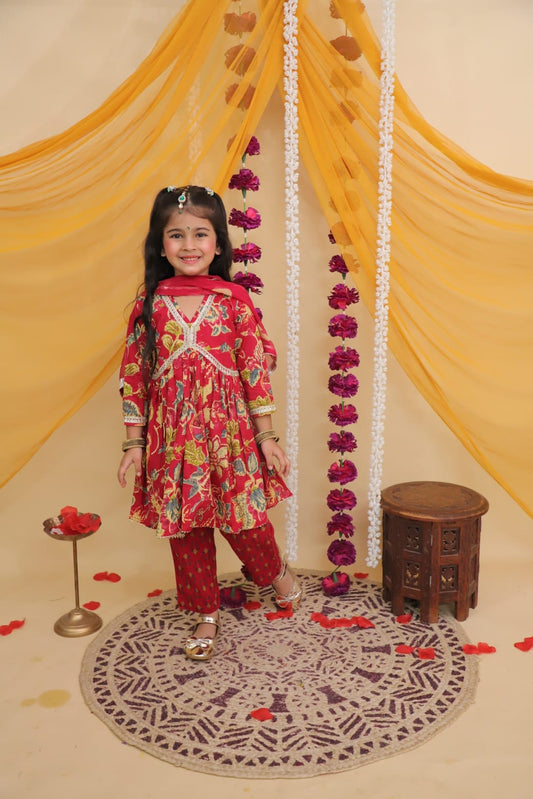 Aliya cut Red colour dress